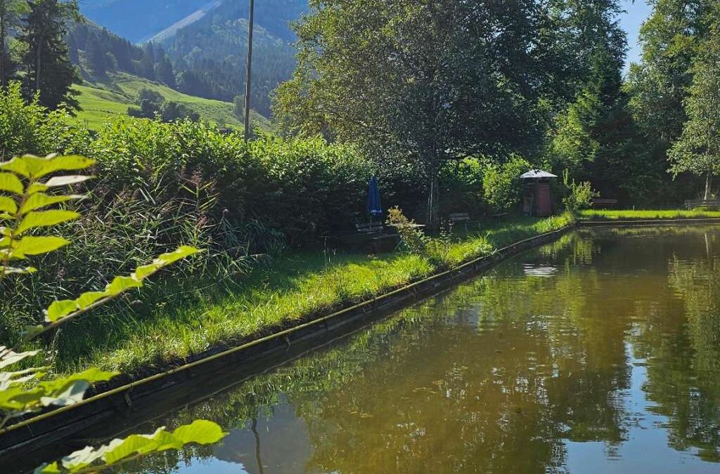 Moorschwimmbad in Reichenbach bei Oberstdorf mit Biergarten und Restaurant